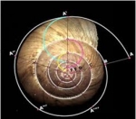 Image spirale.jpg