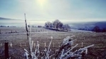 Image paysage bis.jpg